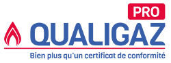 logo-qualigaz-pro-cel